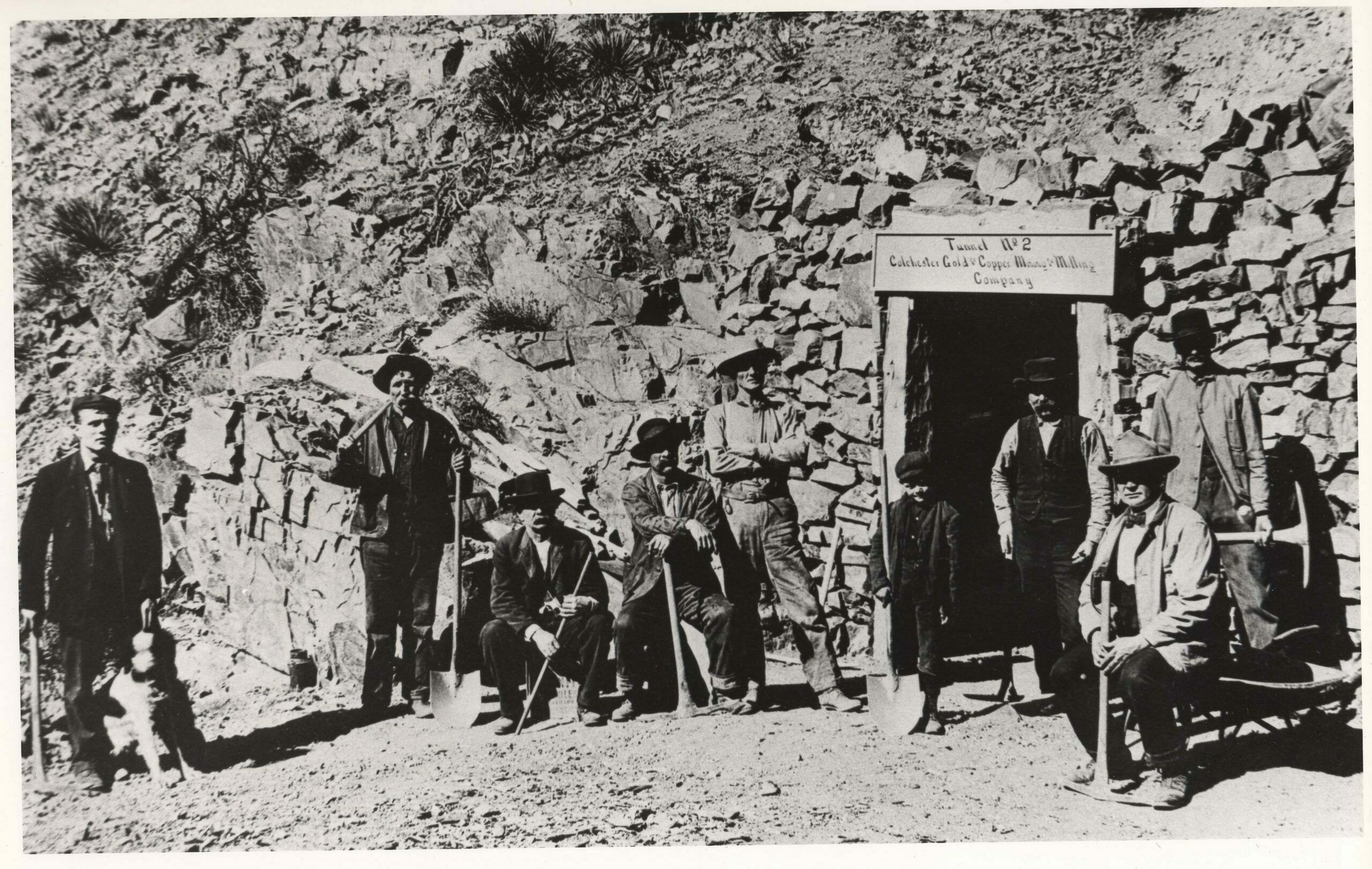 Increased mining activity – and some small financial successes in the late 1890’s – prompted a spate of prospecting by Salida businessmen and even a few children. They swarmed up the gulches northeast of town with picks, shovels and a little dynamite seeking “color.” They weren’t disappointed – at first – because they found showings of gold, silver, copper and lead. For a time during the winter of 1895-96, many businesses closed early so proprietors could go “mining.” One of those efforts was the Colchester Mining and Milling Company, which dug two tunnels – No. 2 above – into the side of the mountain between Cleora and the mouth of today’s Longfellow Gulch. In the first photo, Thomas T Foster stands at left of the entrance to tunnel No. 2, arms folded across his chest. The boy with the shovel is his son, William Garnet Foster. The man in the vest is unidentified, as is the seated man; Richard Milton Bratton stands at the far right. The other men in the operation are unidentified. No. 1 tunnel is just above the level of the D&RG mainline and about 100 yards away on a “gentle slope, just right for men pushing loaded ore cars to the railroad,” according to a Salida Mail article. Tunnel No. 2 is a few hundred feet above and a little east of the discovery opening. Plans were to connect the two inside the mountain, but ore ran out before then.  (1)