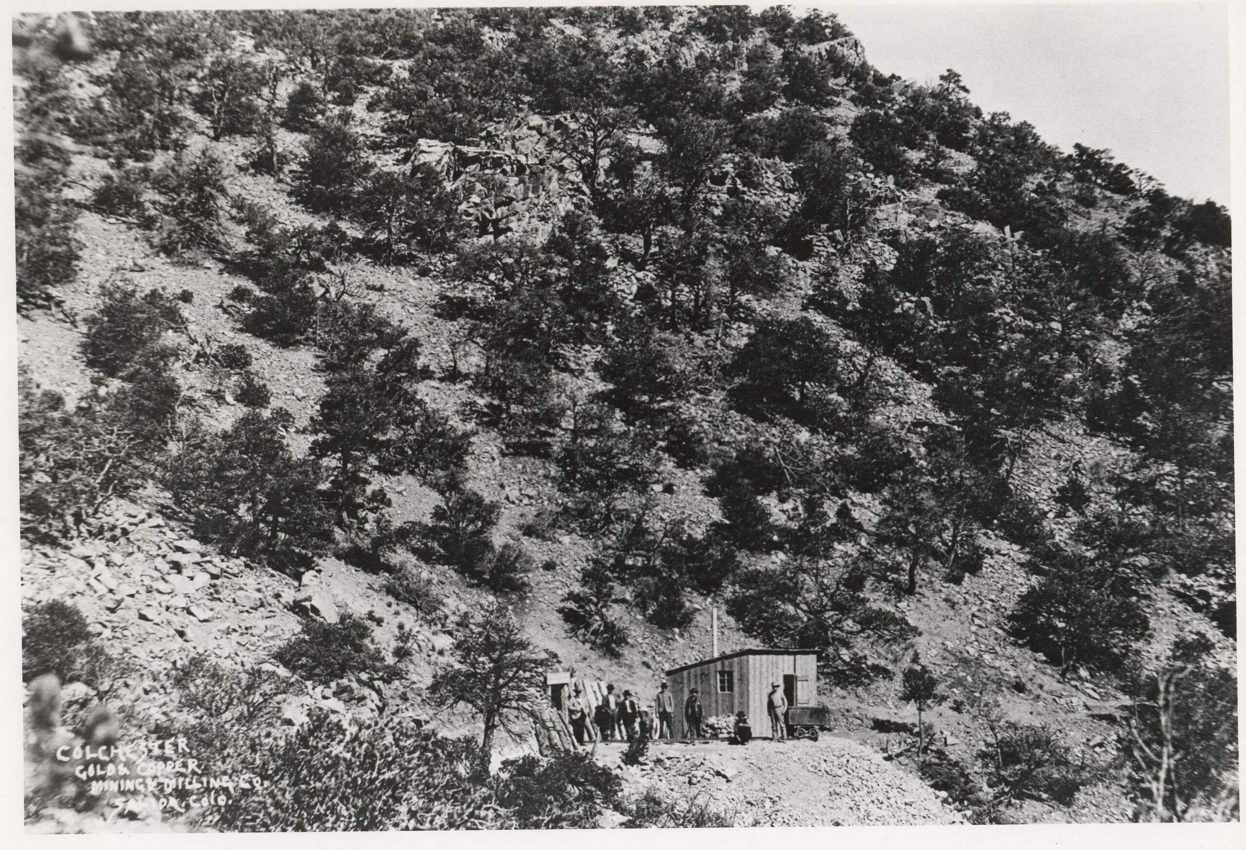 Increased mining activity – and some small financial successes in the late 1890’s – prompted a spate of prospecting by Salida businessmen and even a few children. They swarmed up the gulches northeast of town with picks, shovels and a little dynamite seeking “color.” They weren’t disappointed – at first – because they found showings of gold, silver, copper and lead. For a time during the winter of 1895-96, many businesses closed early so proprietors could go “mining.” One of those efforts was the Colchester Mining and Milling Company, which dug two tunnels – No. 1 above – into the side of the mountain between Cleora and the mouth of today’s Longfellow Gulch. No. 1 tunnel is just above the level of the D&RG mainline and about 100 yards away on a “gentle slope, just right for men pushing loaded ore cars to the railroad,” according to a Salida Mail article. Tunnel No. 2 is a few hundred feet above and a little east of the discovery opening. Plans were to connect the two inside the mountain, but ore ran out before then.  (1)