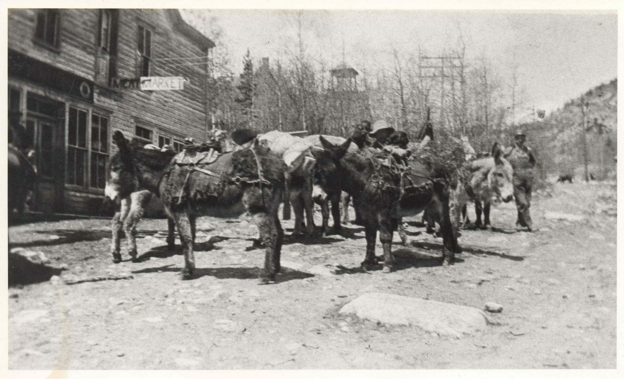 West of St. Elmo, 12,154 foot Tincup Pass provided one of the early access routes to Western Slope mining areas. Burro trains such as this one loading in front of the St. Elmo Hardware provided quick, inexpensive and relatively sure transportation for most general supplies. After arrival of the Denver, South Park and Pacific Railroad, the town became a major shipping point for heavy freight as well and there were a dozen or more companies that were able to handle almost any kind of shipment. Busy winter stagecoach traffic forced drivers to replace wheels with sled runners for the hazardous trip over the Continental Divide between 13,555-foot Emma Burr Mountain to the north and 13,124-foot Fitzpatrick Peak to the south.  (1)