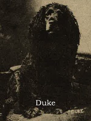 See The Legend of Loyal Duke in Digital Archive